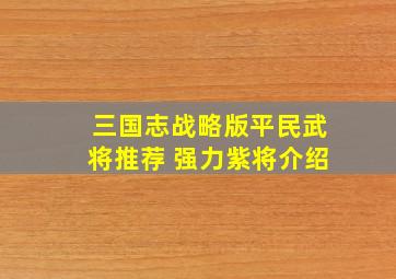 三国志战略版平民武将推荐 强力紫将介绍